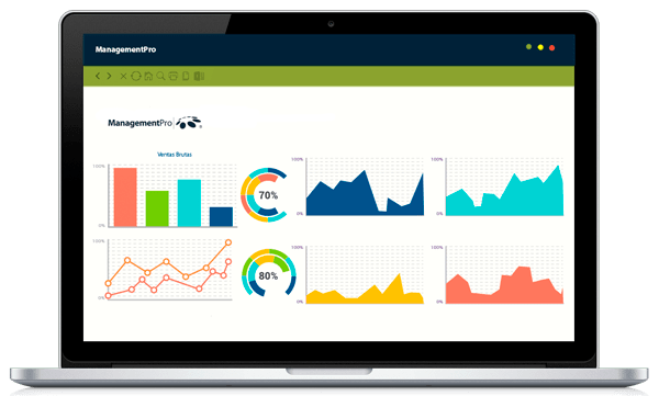 Business Intelligence de ManagementPro ERP