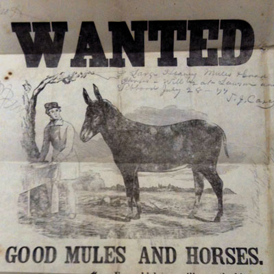 Mule-Poster,-1877