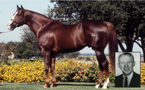 AQHABobDenhardt