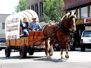wickel wagon
