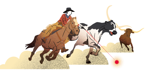 how to stop a stampede