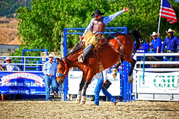 FM15_TR_3Days_Rodeo