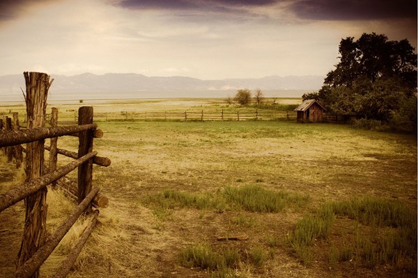 AmericanCowboy_AntelopeIsland_SimpleInsomnia