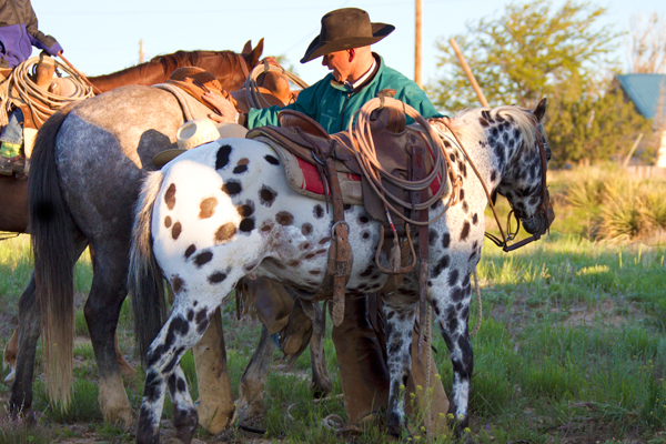 cowboy-and-his-horse