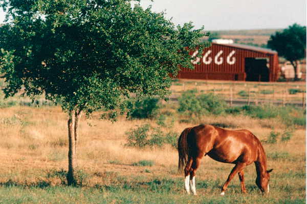 Four-Sixes-Ranch-1