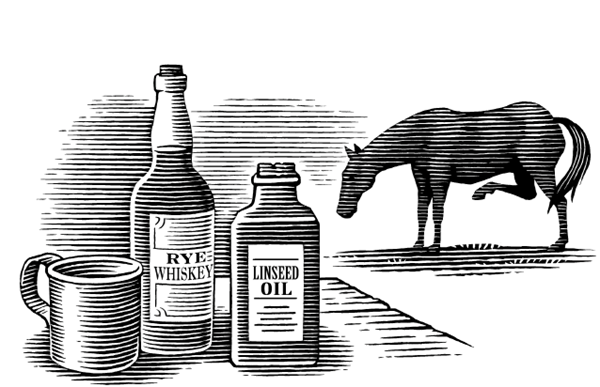 Lost Skills of Livestock Doctoring