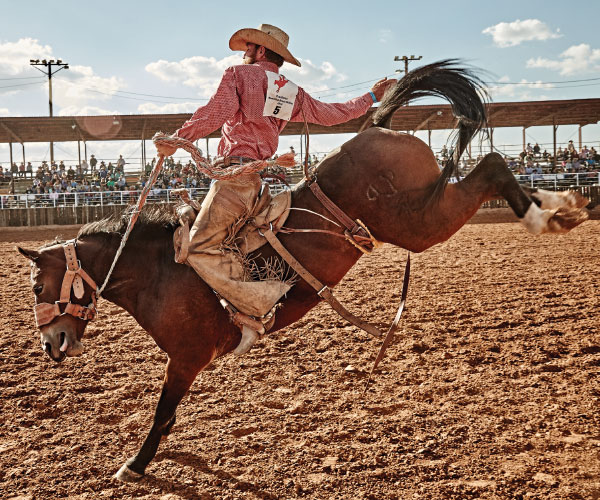 jared-johnson-bronc