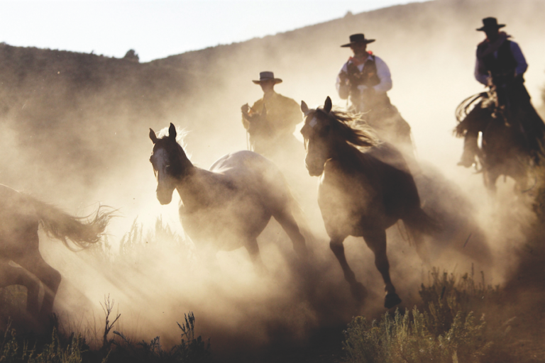 Great Basin Ranches Buckaroo