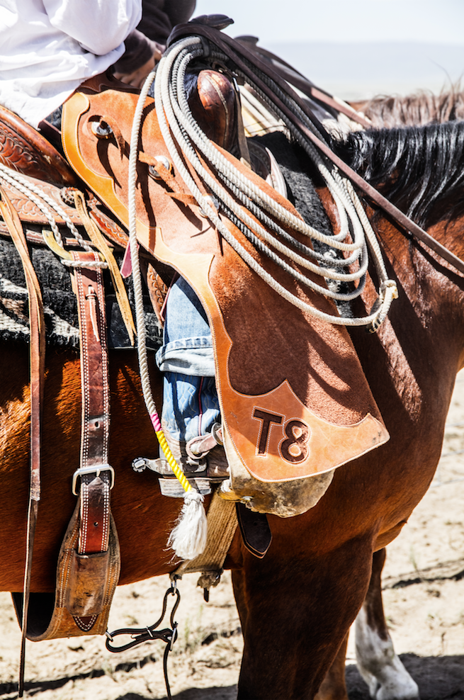 my favorite brand vertical