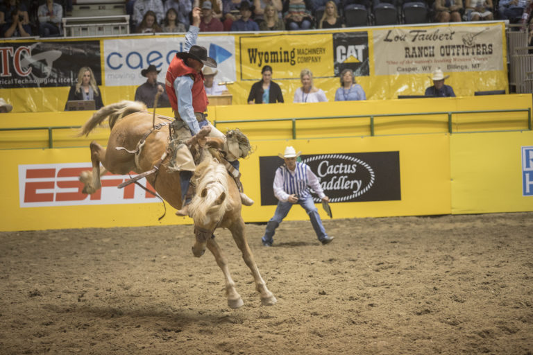 CNFR saddle bronc header