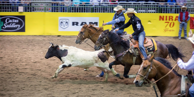 Rodeo-10