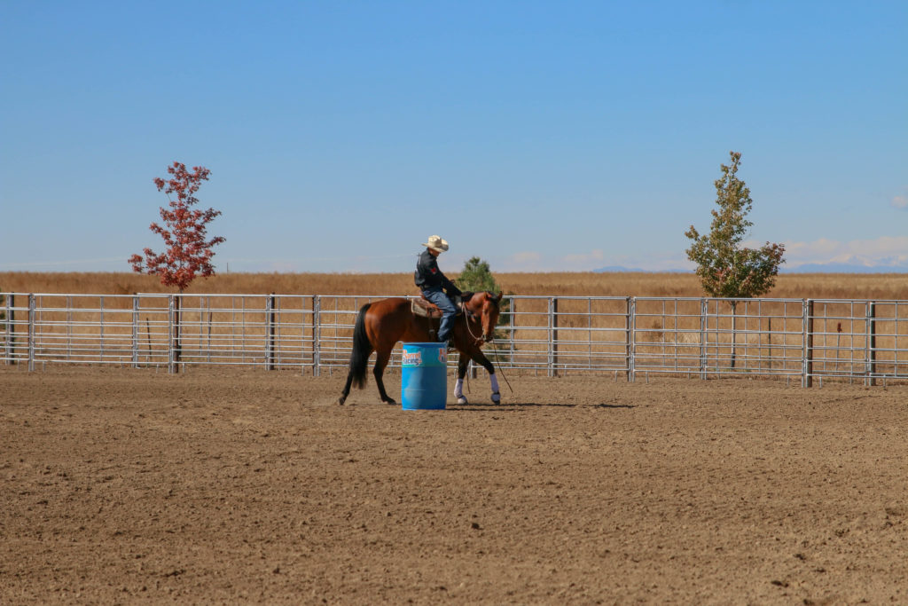 Andre Coelho turns a barrel on a horse in training at Smoke Creek Quarter Horses