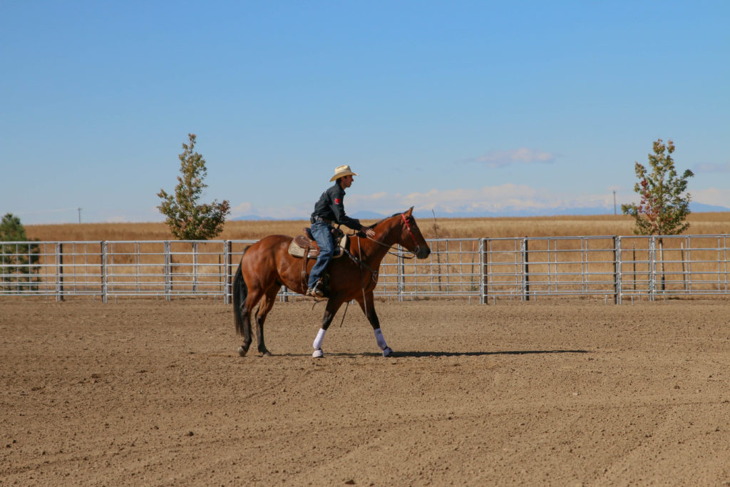 Andre Coelho works a barrel horse at Smoke Creek Quarter Horses