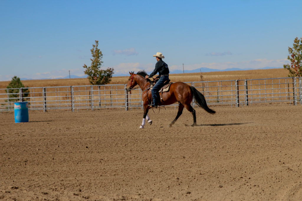 Andre Coelho rides a barrel horse in training at Smoke Creek Quarter Horses