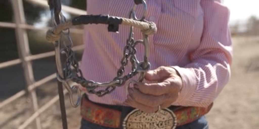 This unique barrel racing bit of Kelly Yates shows a combination approach.