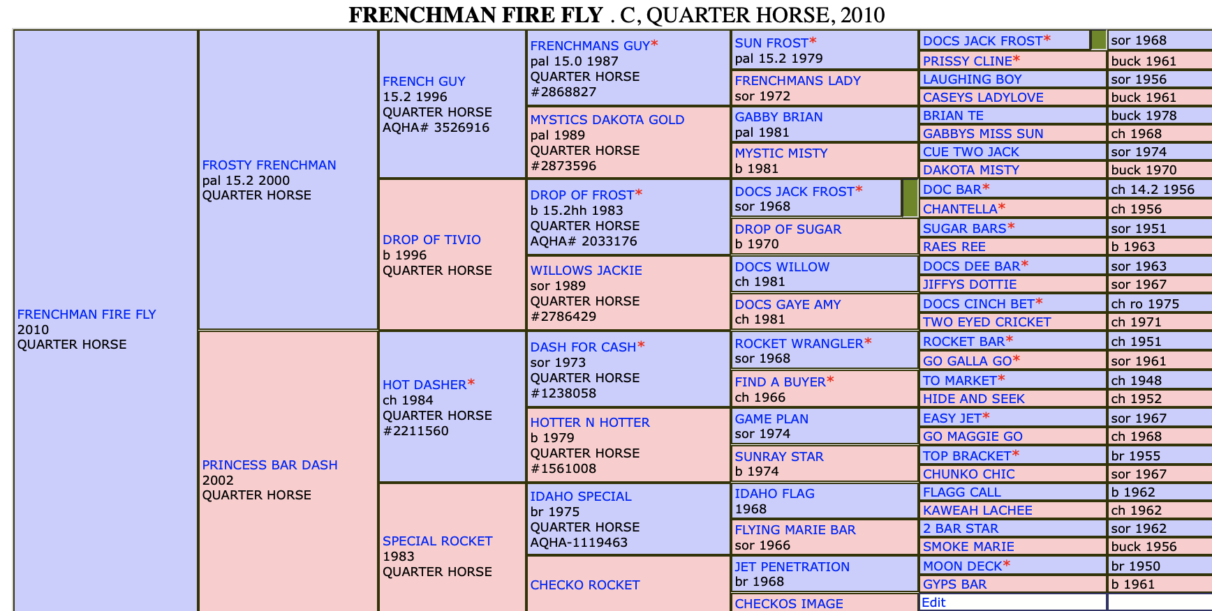 Pedigree Power The Best Barrel Racing Bloodlines in the Game