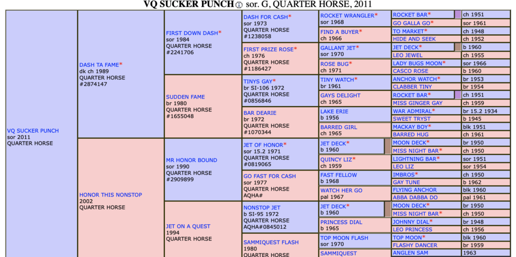 Pedigree Power The Best Barrel Racing Bloodlines in the Game