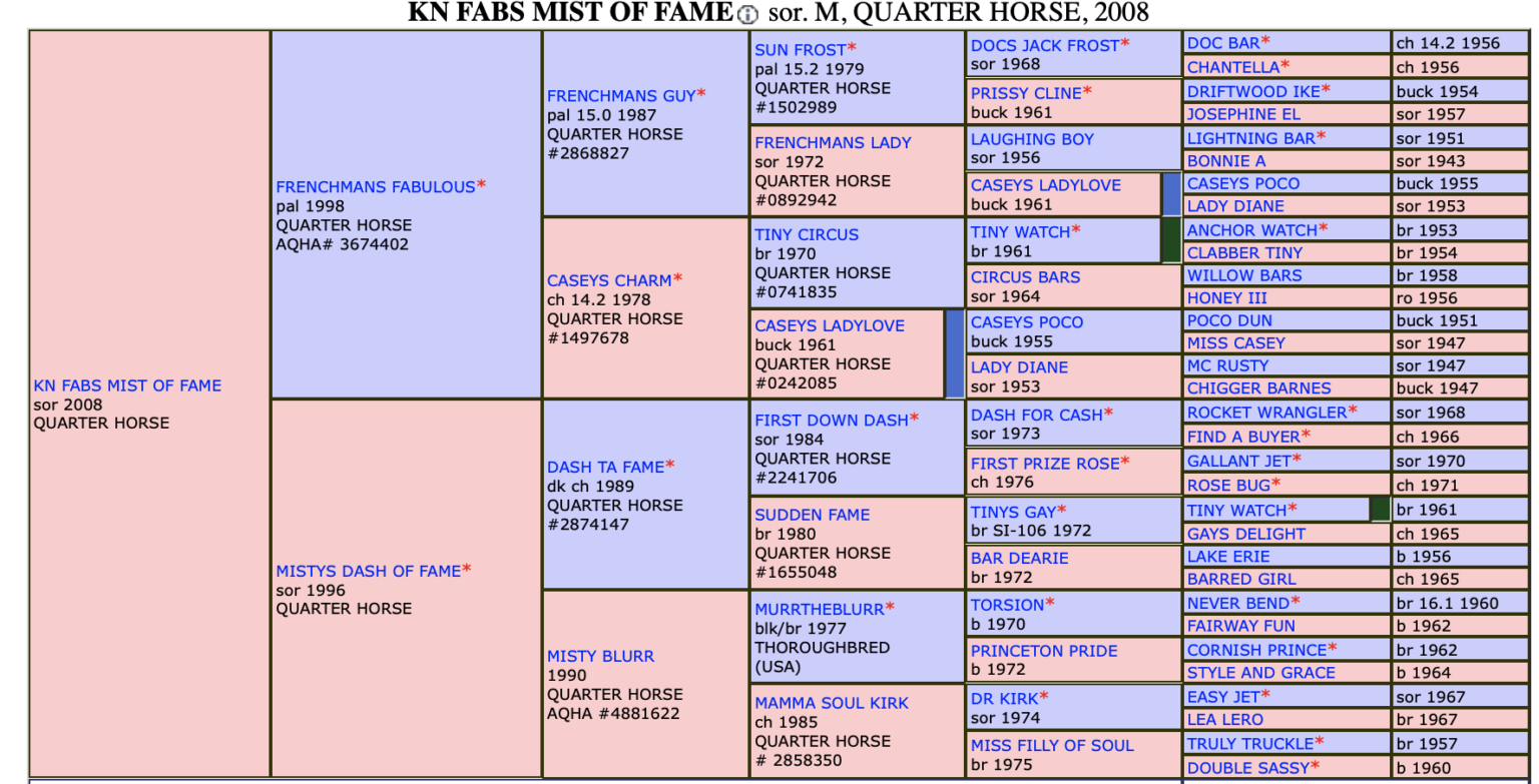 Pedigree Power The Best Barrel Racing Bloodlines in the Game