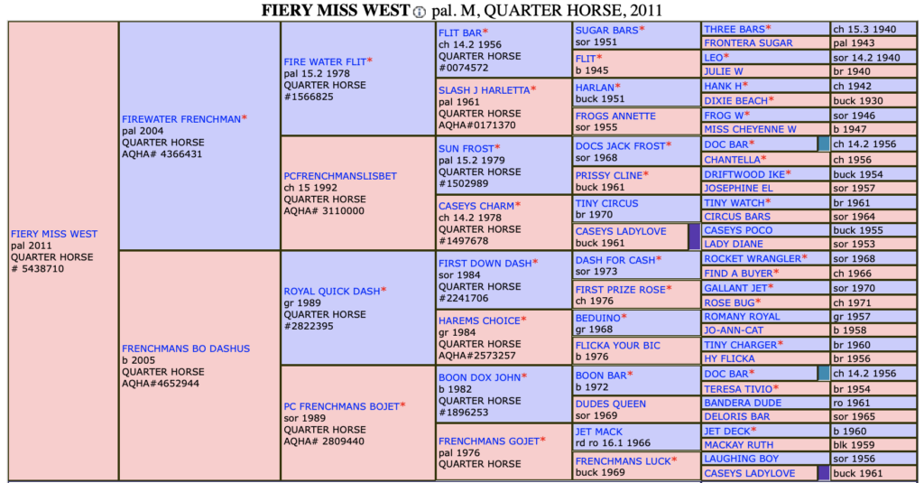 Pedigree Power The Best Barrel Racing Bloodlines in the Game