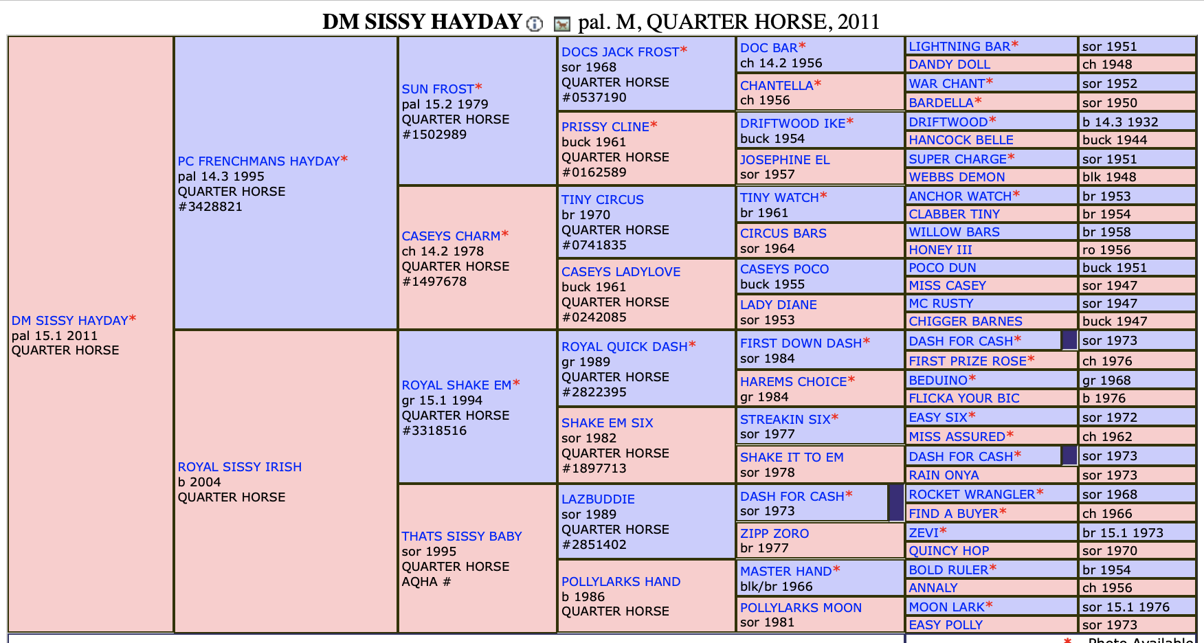 Pedigree Power The Best Barrel Racing Bloodlines in the Game