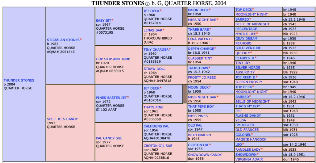 Pedigree Power The Best Barrel Racing Bloodlines in the Game