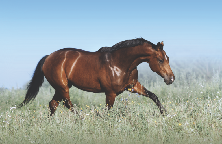 Screen Shot 2021-10-22 at 10.56