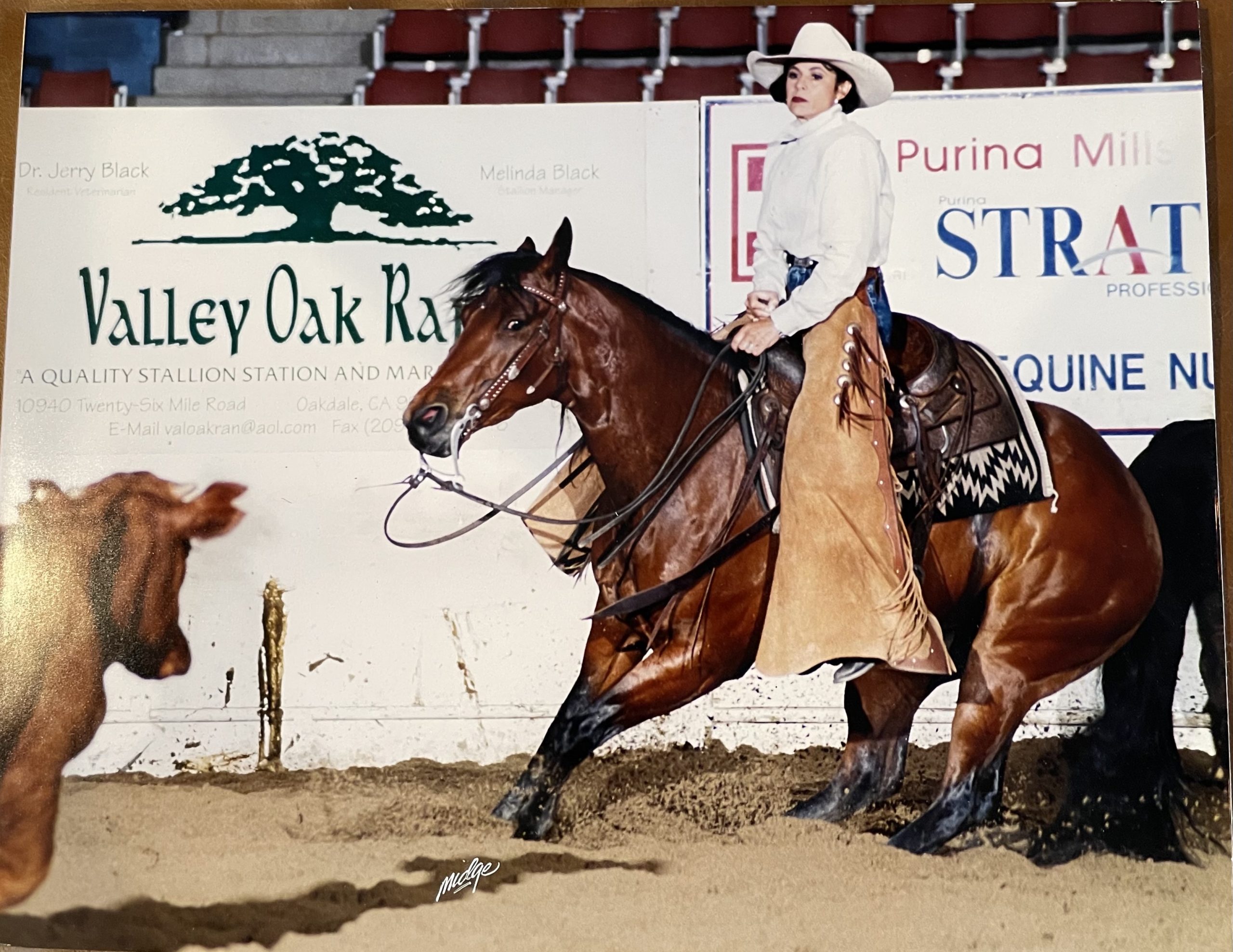 Sally Marvel Freeman showing her favorite mare, Fairleas Montana Gal, the dam of Quincy Eldridge’s Kiss Me Rosita.