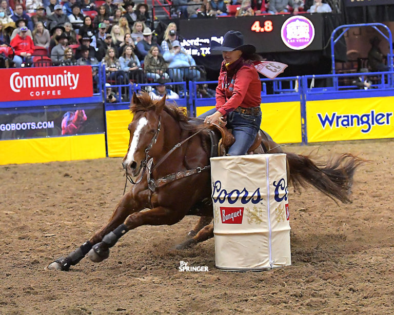 DSC_0077-Jordon-Briggs-Rd-8