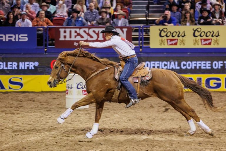 Rule_go2nfr night 2-2753
