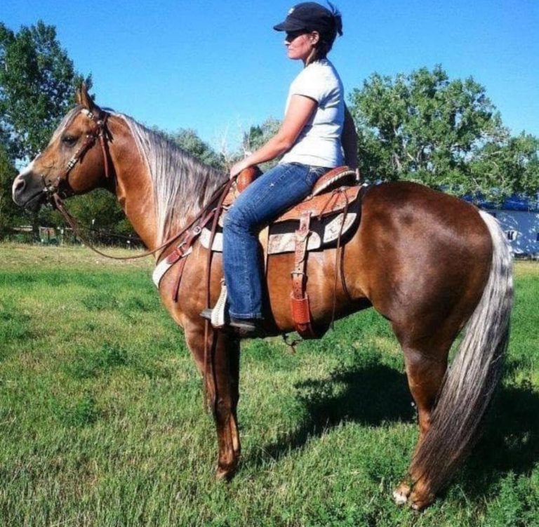 246793175_397321402054011_6331142129512371854_n