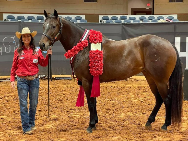 243157182_379157120537106_6277582354087135516_n