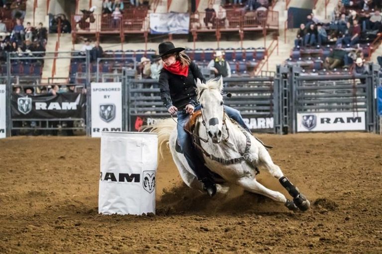 53d3e417-ab40-4016-bd44-97514384f431