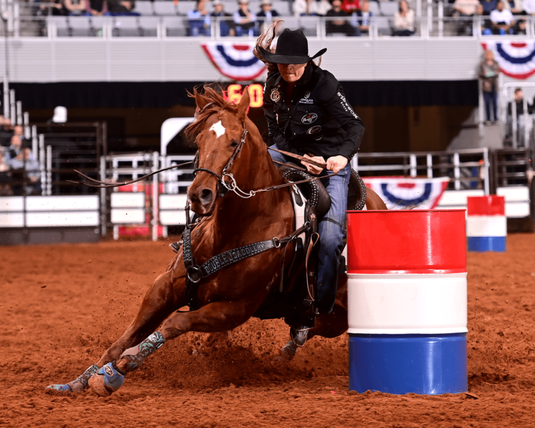 Babe On The Chase, Birdie