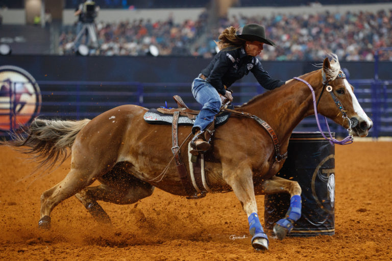 Shelley Morgan The American