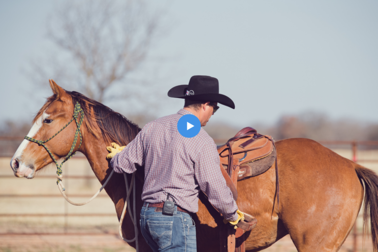 Justin Briggs prepares to saddle a colt