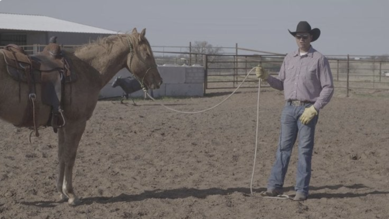 Screen Shot 2022-05-09 at 3.26