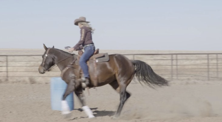 Screen Shot 2022-05-09 at 2.27