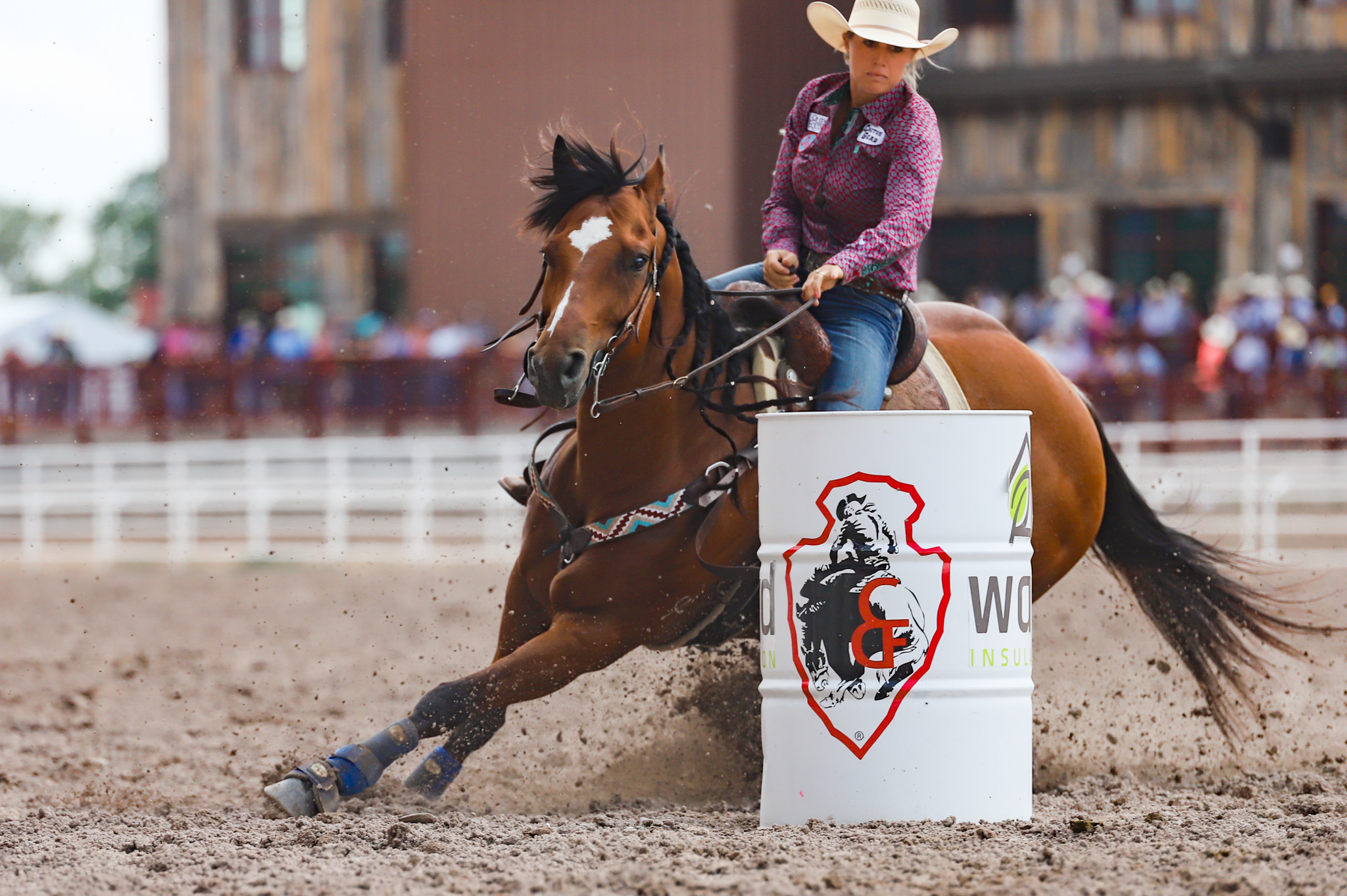 Jamie Olsen rookie barrel racer