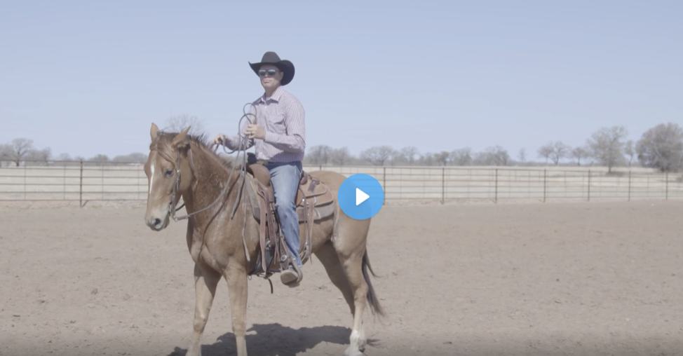 Justin Briggs discusses tips for training horses