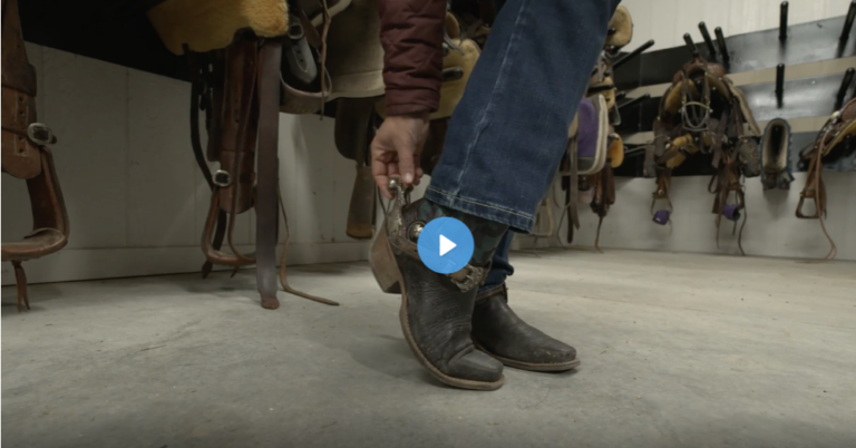 Screen-Shot-2022-07-08-at-10.57