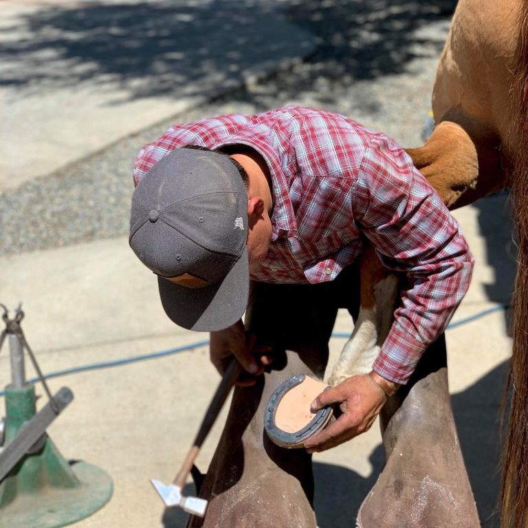 Cody Morgan shoeing barrel horses
