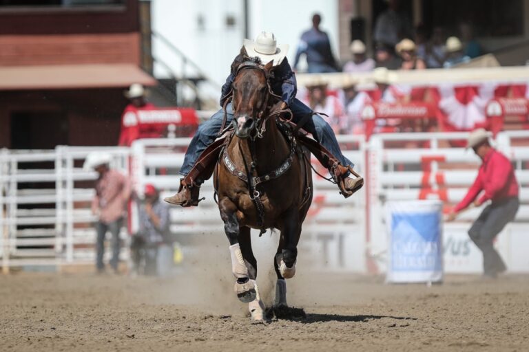 Kassie Mowry Professional Barrel Racing World Standings