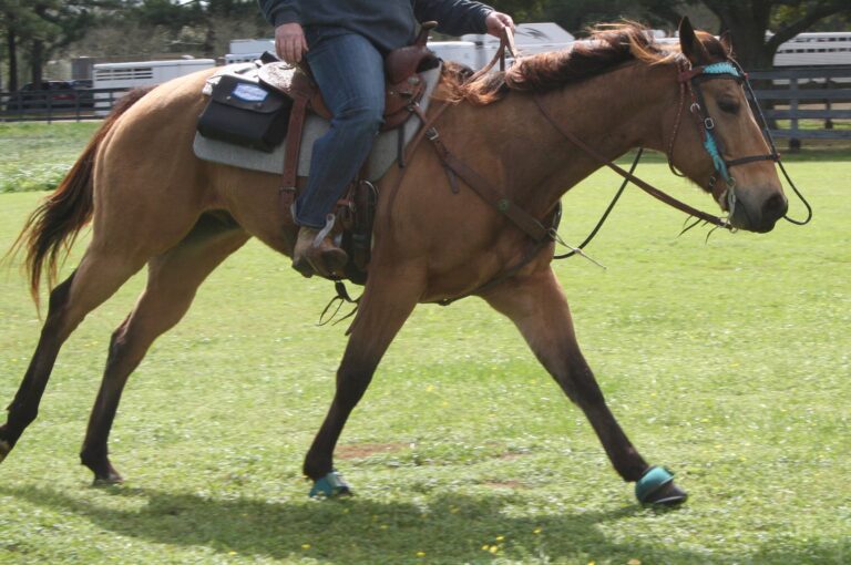 Loping with Scope