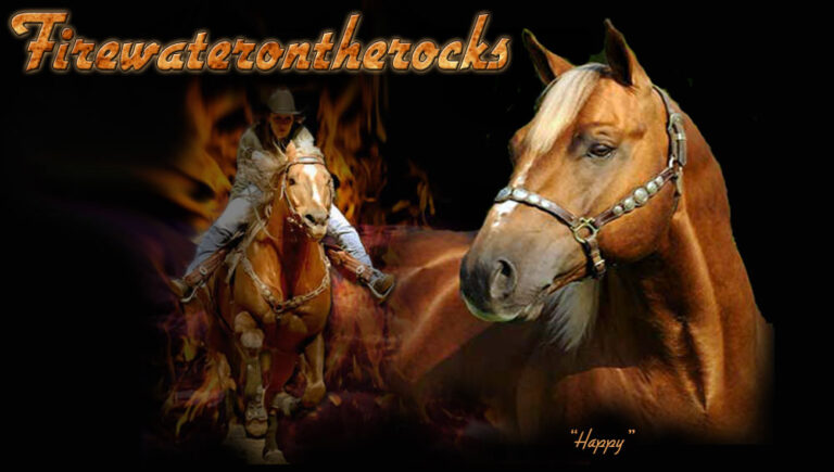 FireWaterOnTheRocks barrel racing stallio