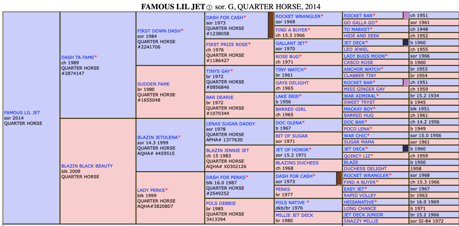 The Complete List of 2023 NFR Barrel Racing Horses