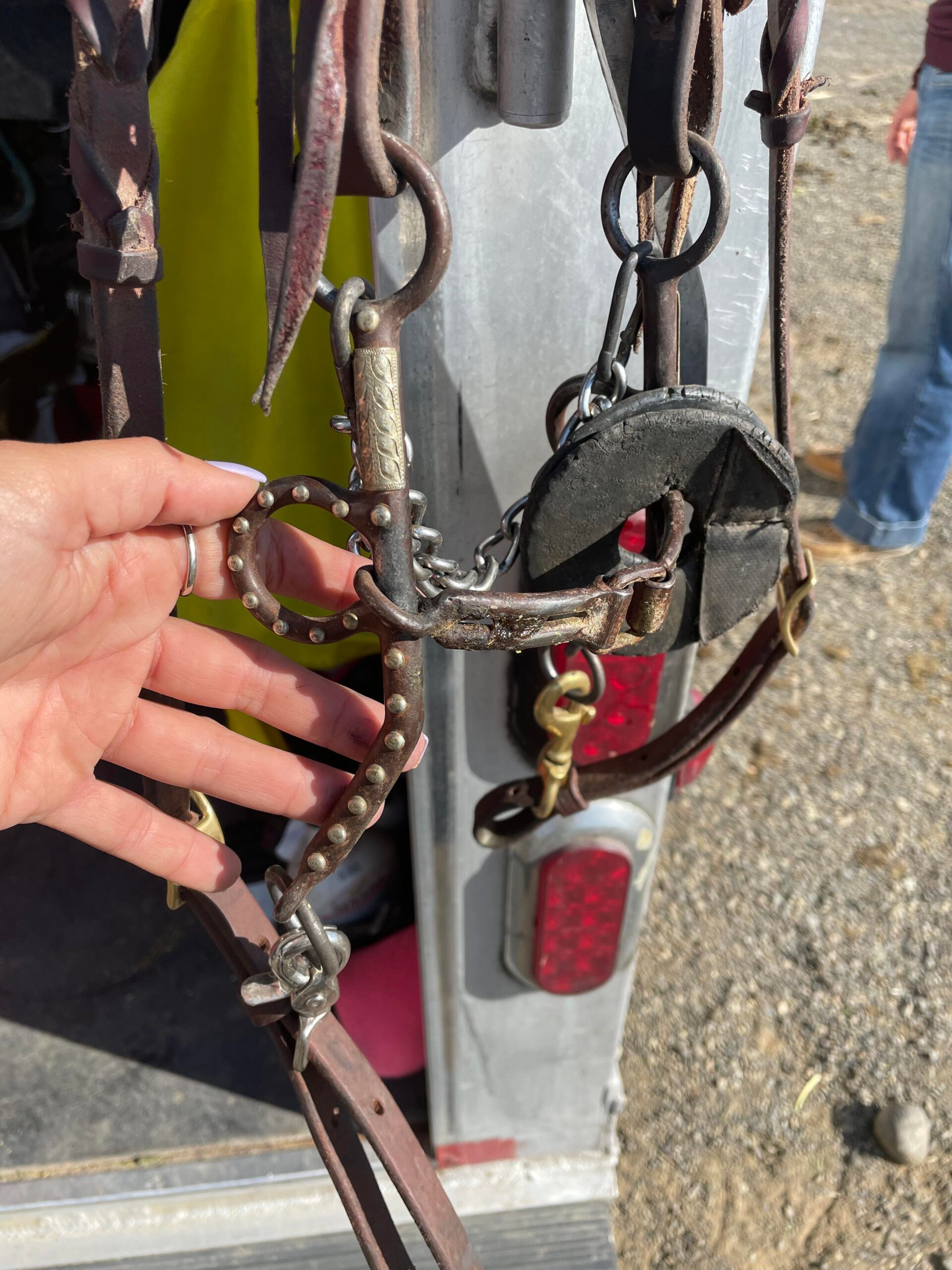 Top Rookie Barrel Racing Bits