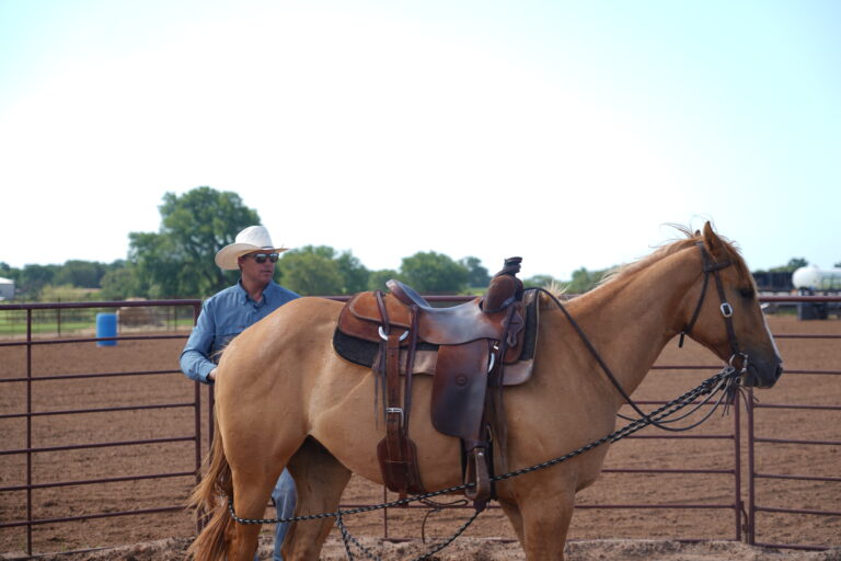 Justin Briggs demonstrates line driving with a horse in the roundpen.