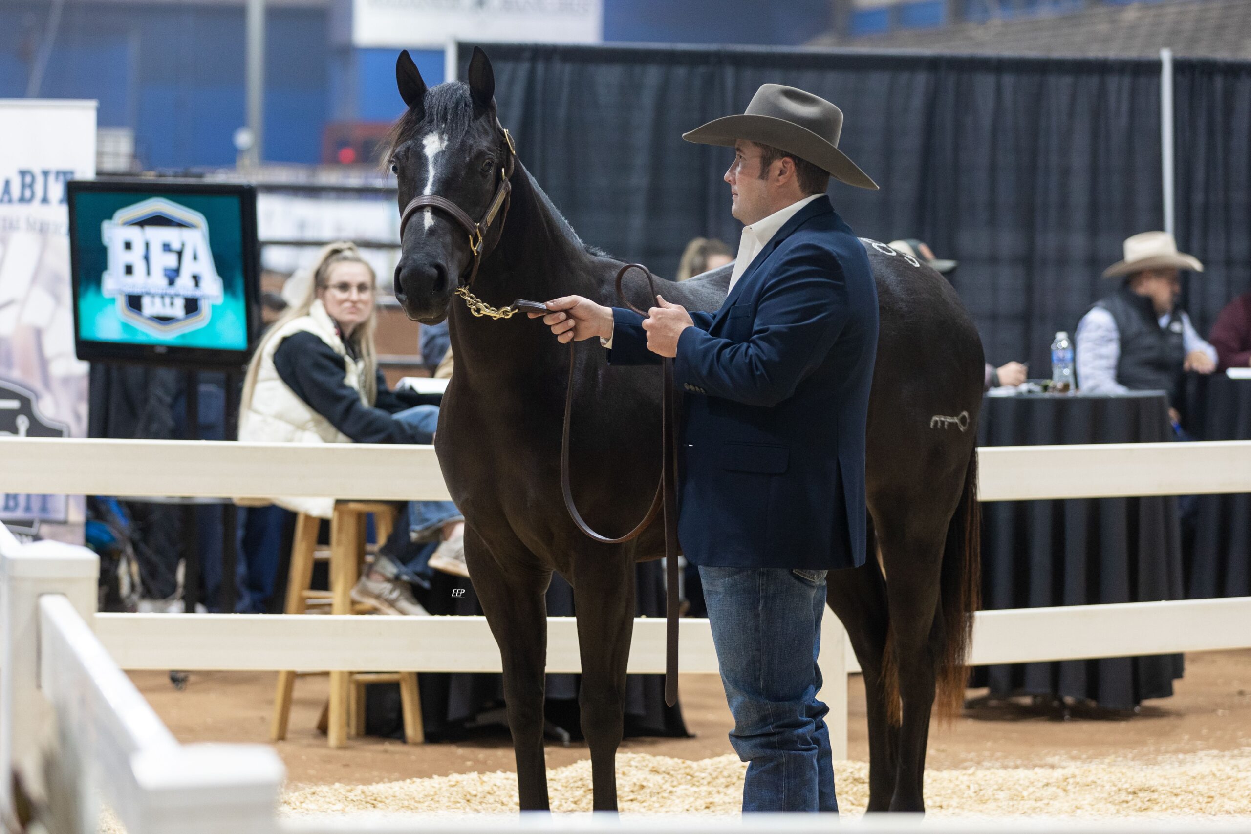 Horse in the ring in the Futurities of America sale.