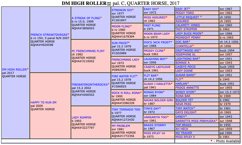 DM High Roller Pedigree