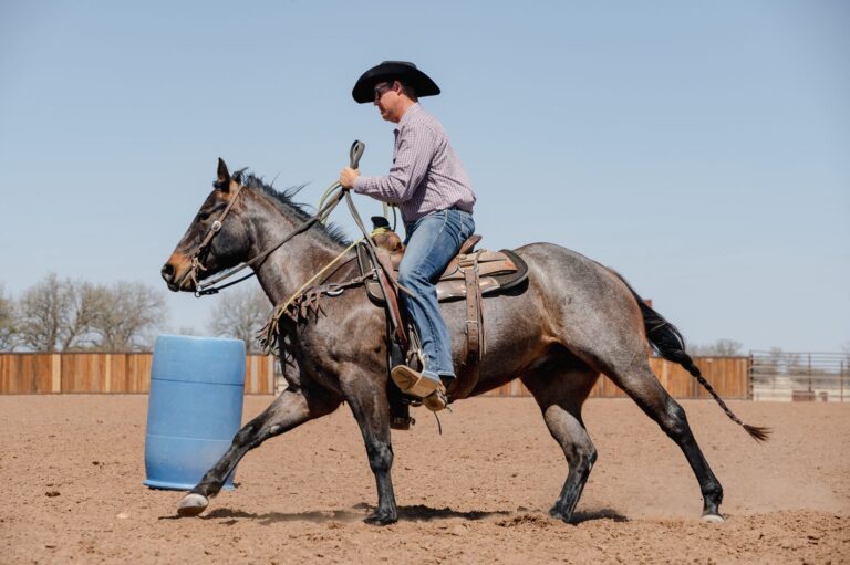 Justin Briggs warms up a young horse.